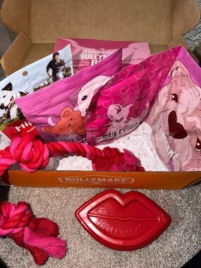 Bullymake Pink & Red Dog Toy & Treat Box